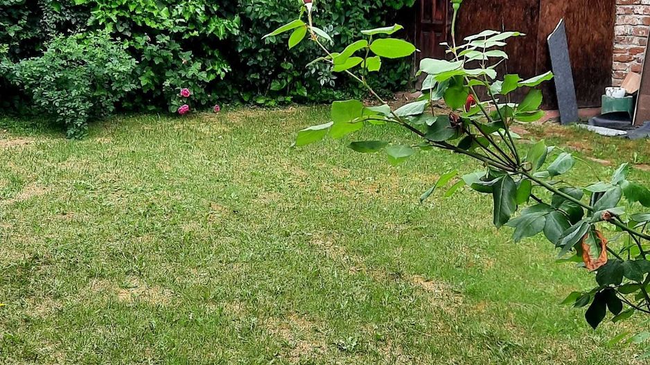 Inchiriere, vila P+M, str. Popa Nan, rond Alba Iulia - Poză 4