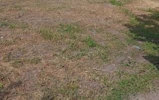 Casă de închiriat, Măcărești – 3 camere, curte 0.5 ha - Poză 10