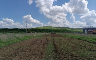 Teren Viisoara 36 ari , zona in plina dezvoltare - Poză 3