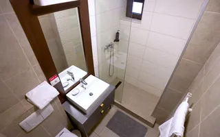 Casa Vila 12 camere de vanzare Calea Calarasilor Bucuresti Sector 3 - Poză 16