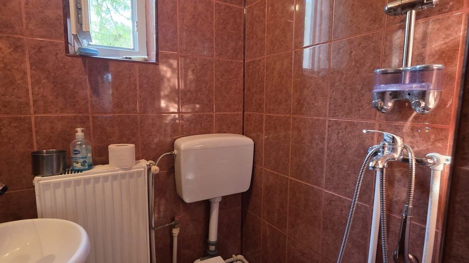 Casă / Vilă cu 8 camere de vânzare în Lapus, Craiova - Poză 13