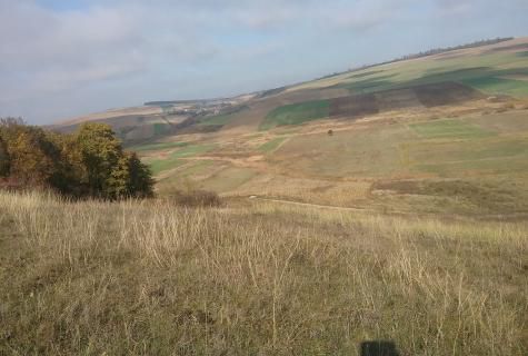 teren extravilan Secuieni judet Bacau - Poză 10