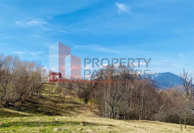 Teren Intravilan Bran-Sohodol 3000 mp parcelabil cu utilitati - Poză 1