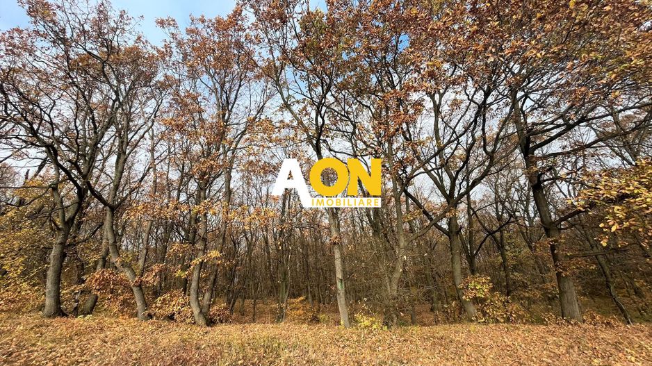 Teren de vanzare,  zona exclusivista,  2400MP - Poză 3