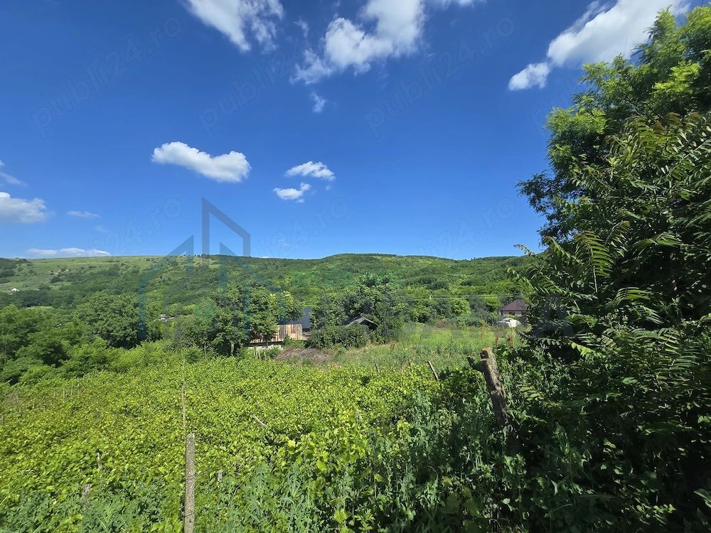 Ansamblu rezidențial cu două case și teren de 1,4 hectare, Bohotin - Poză 3