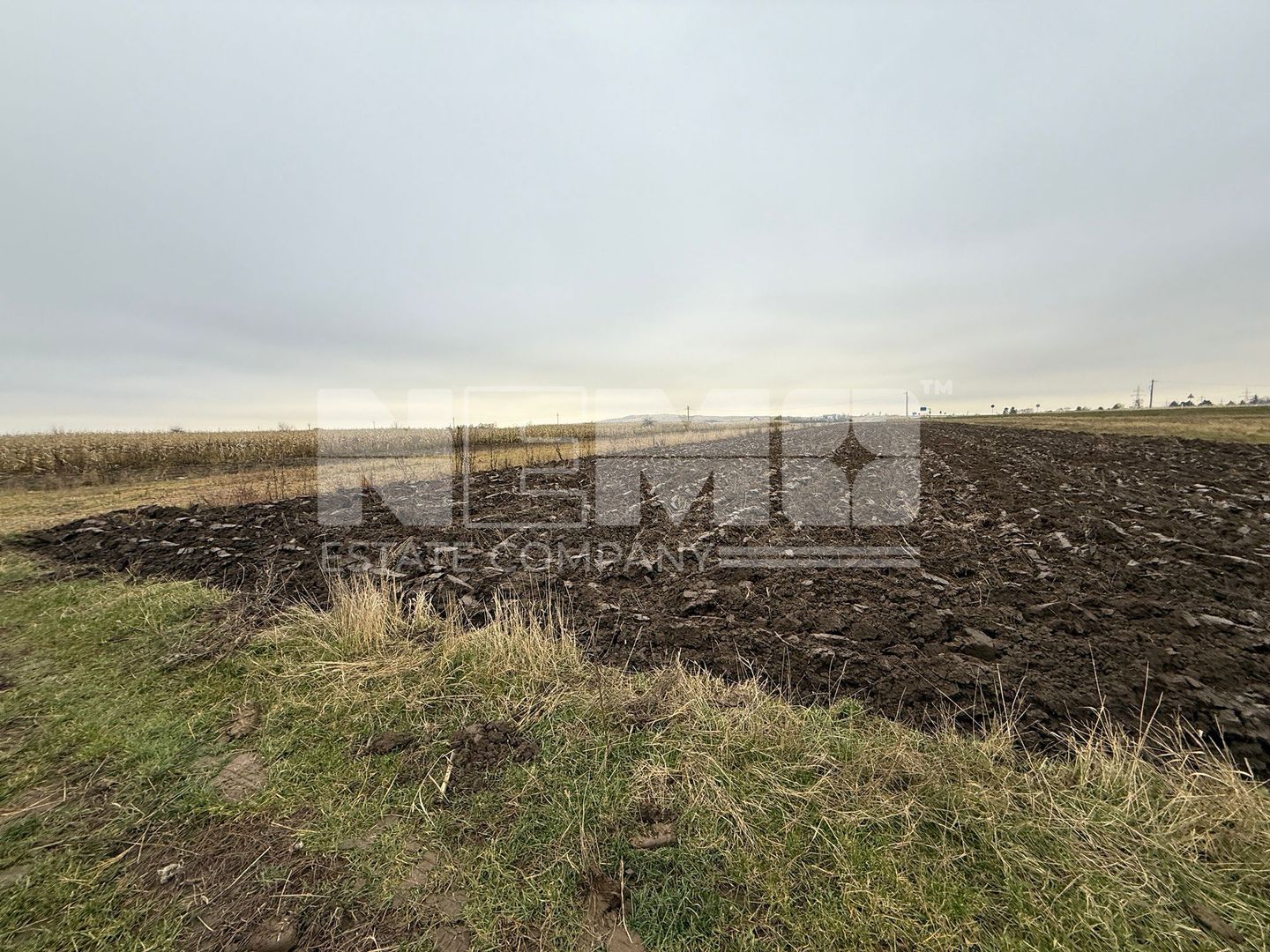 Parcela teren agricol 50 Ari - Poză 7