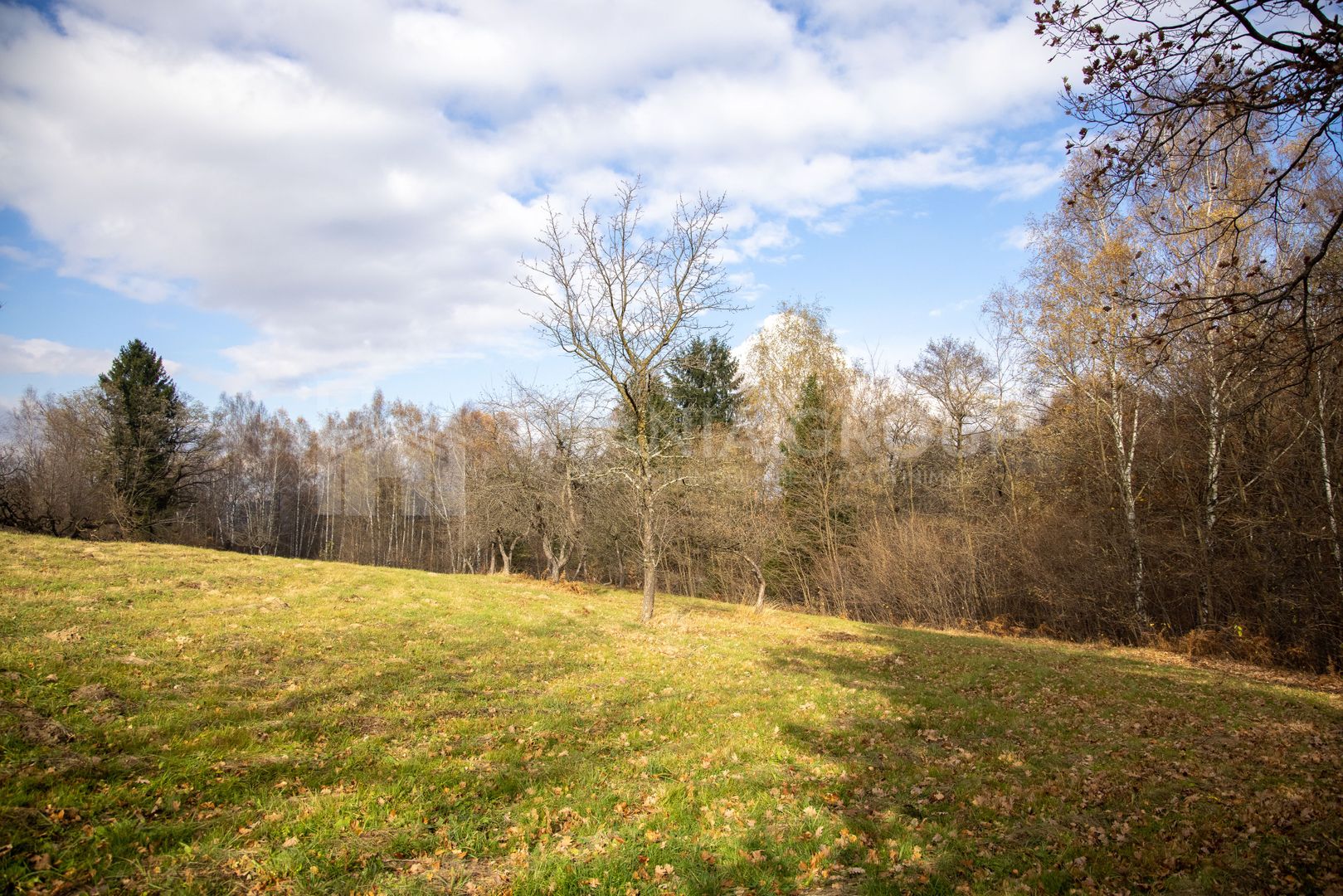 Teren intravilan, cu PUZ, Bran Tohanita,  SE ACCEPTĂ ȘI SCHIMB - Poză 5