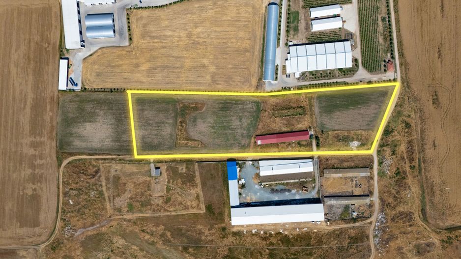Cogealac - Tariverde – Ferma cu teren intravilan, utilitati racordate! - Poză 2