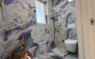 Duplexuri cu 3 camere Sinandrei - Poză 8