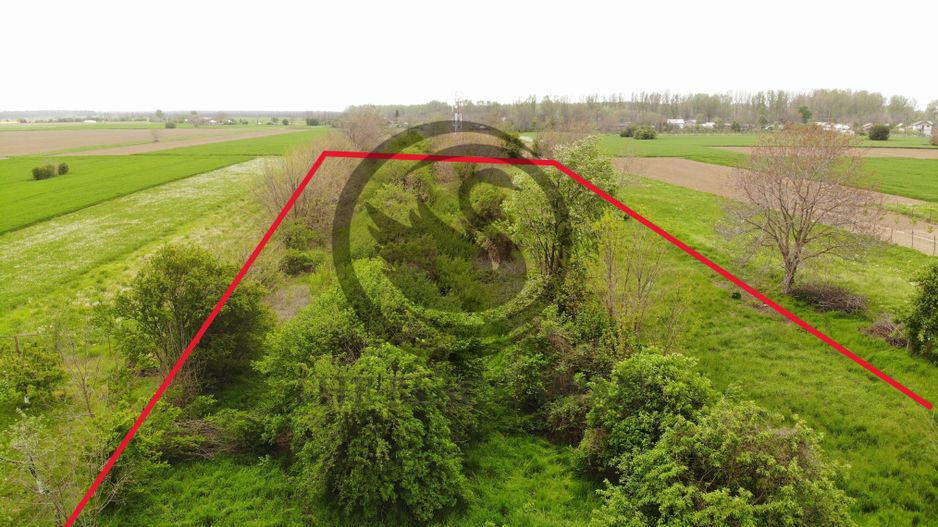 Teren si casa de vanzare | Habud - Sirna, Prahova | Comision 0% - Poză 4