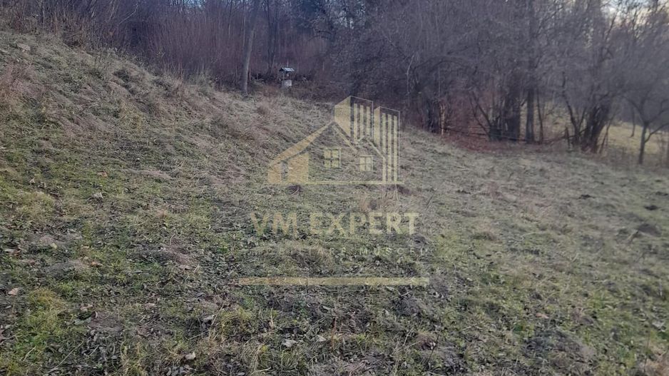 TEREN INTRAVILAN 5461 MP, BUGHEA DE JOS, ARGES - Poză 9