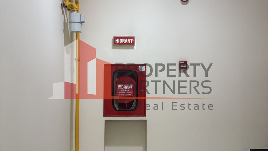 Saptiu de birou Iancului - Poză 5