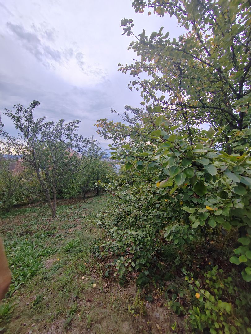 casa - 24 ari de teren - Valea Ghinzii - Poză 8