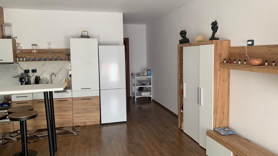 SPATIU DE INCHIRIAT IN MARGINEA - Poză 6