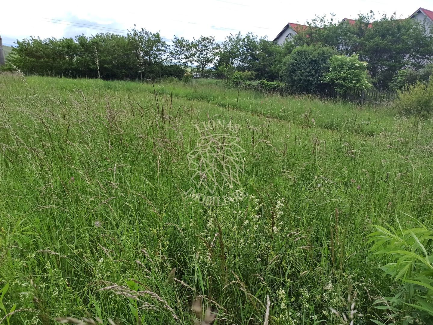 Teren intravilan la DN17 2500 mp-utilitati-Crainimat - Poză 3