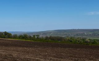 Vânzare, teren agricol, 90 ha, Orhei, satul Seliște - Poză 3