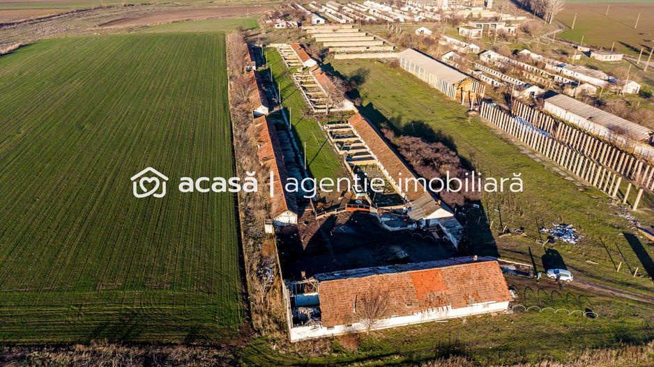 NĂDLAC | Teren 1.15 HA lângă Autostradă | 2.500mp Hale - Poză 3