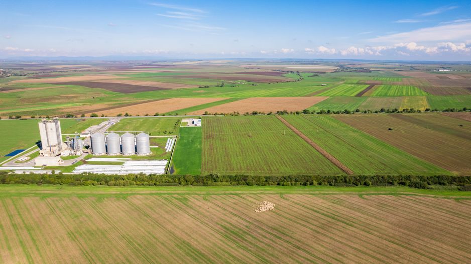 Teren de 104000 mp în Vinga - Poză 6