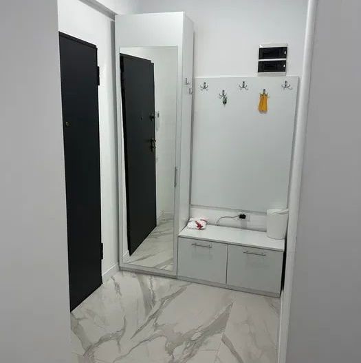 Inchiriere apartament 2 camere Parcul Carol - Poză 7