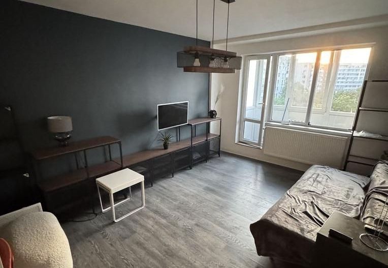 GARSONIERA - TINERETULUI, PET-FRIENDLY, METROU 6 MINUTE, BOILER - Poză 1