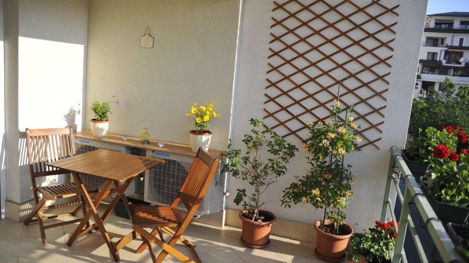 Herastrau Parc - Soseaua Nordulu - 2 camere - Poză 9