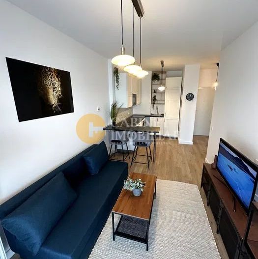 Chirie - 2 camere - Podu Ros - INTERMEDIAR - Poză 1