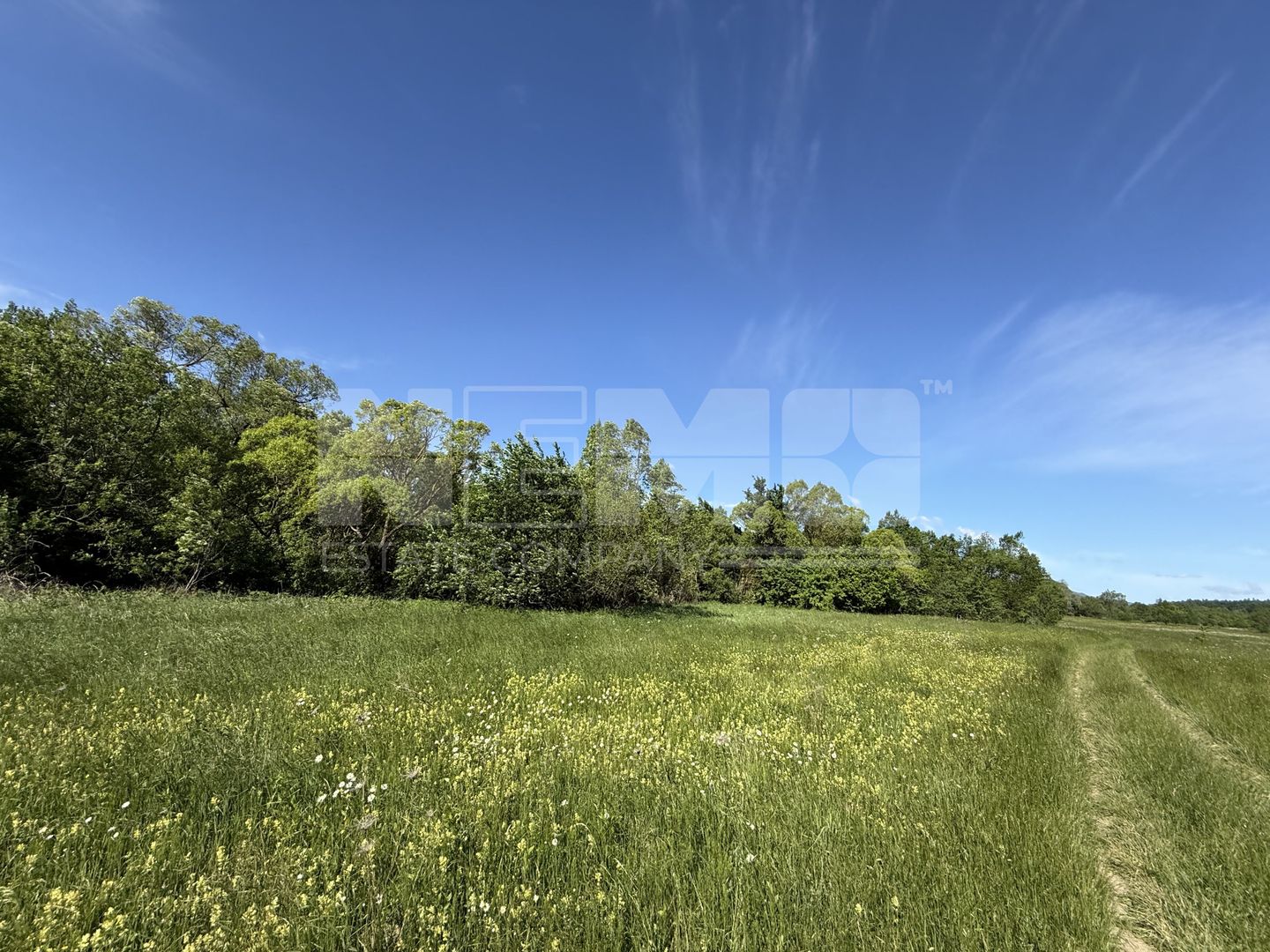 Teren de vânzare | Hardic | 2.300 mp - Poză 4