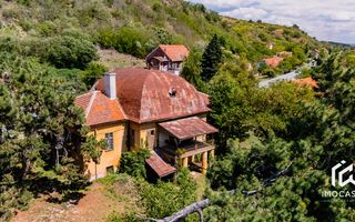 Vila Conac boieresc contelui Fabia 1920 de vânzare Păuliș Arad 2,4 ha - Poză 5
