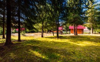 Cabane cu 10 camere Arieseni - Poză 4