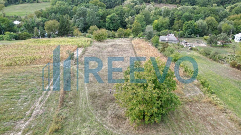 Teren intravilan lângă pădure, Racova - Poză 4