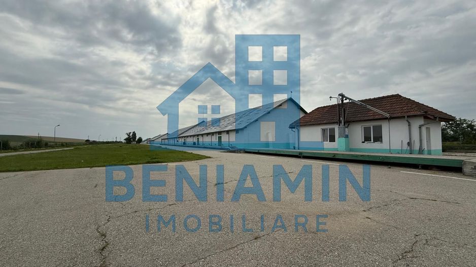 Depozit Cereale-3 Silozuri-Aut ISU-31.000mp-Perfect functional-Olt - Poză 2