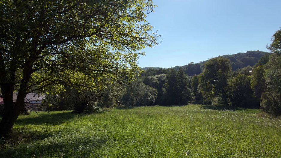 Teren Parau | Valea Danului, Curtea de Arges | Vidraru | - Poză 3