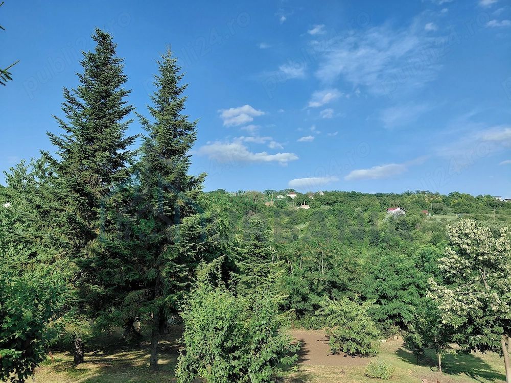 Vânzare teren pentru construcție locuință - Poză 6