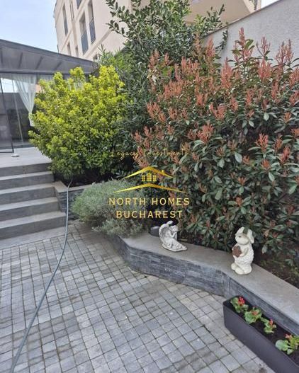 Casa cu 3 apartamente P+3 , zona Barbu Vacarescu - Poză 13