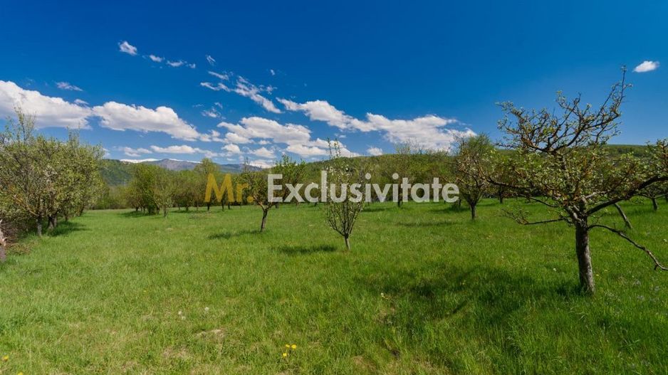Casa Valea Mare Pravat (Campulung-Arges ) - farmec interbelic - Poză 3