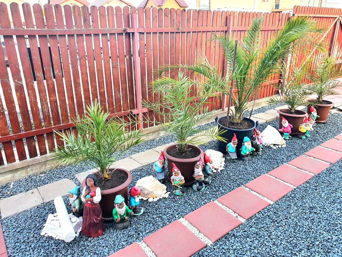 Casa individuala - Dumbravita - Poză 14