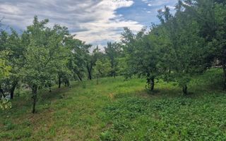 Teren intravilan  1400 mp - Albota ! - Poză 5