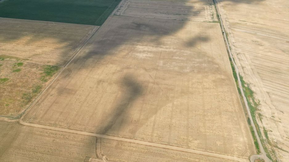 AFACERE COMPLETĂ SORTARE DEȘEURI + TEREN 66,49 HA - Poză 2