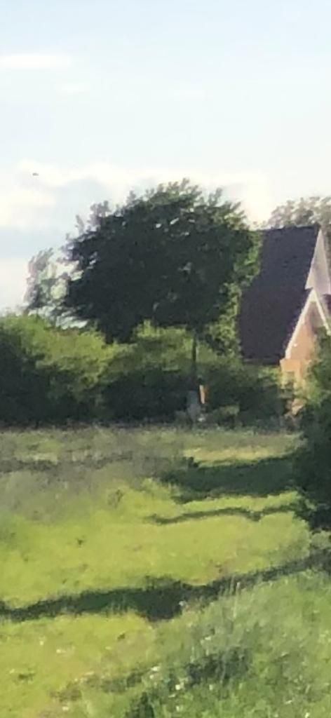 Ag EUROPA vinde 3153mp teren INTRAVILAN langa SOSEA la iesirea din Doba. - Poză 3