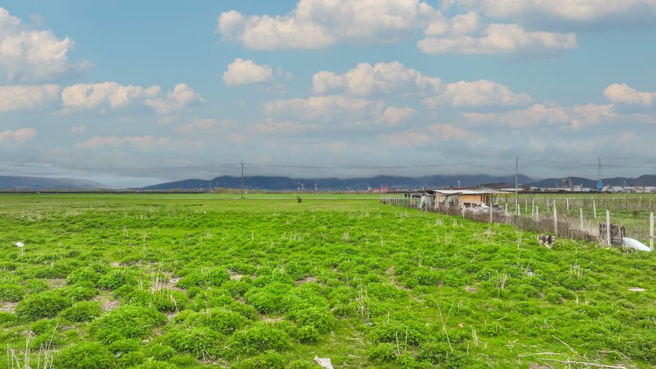 COMISION 0% | Teren intravilan hale producție/depozitare | Brașov - Poză 12