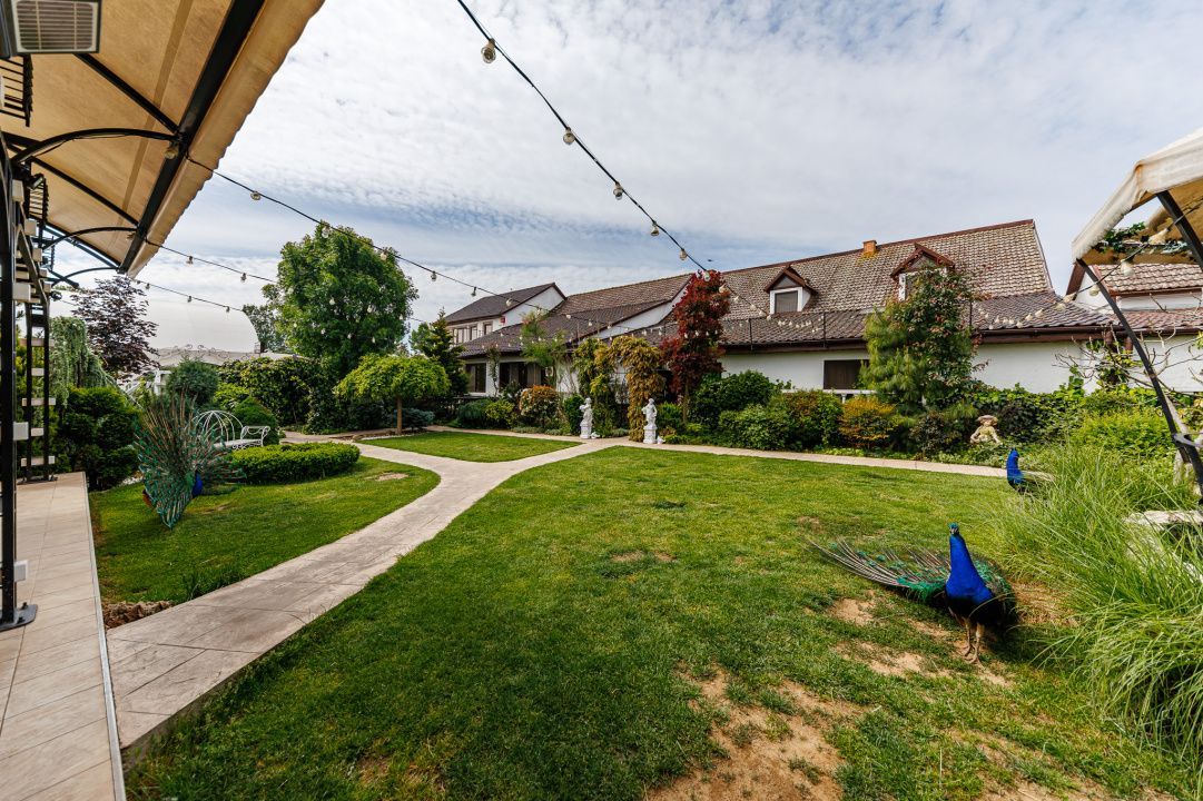 Complex HoReCa functional – 13.000 mp, venituri active, 15 km Timisoara - Poză 7