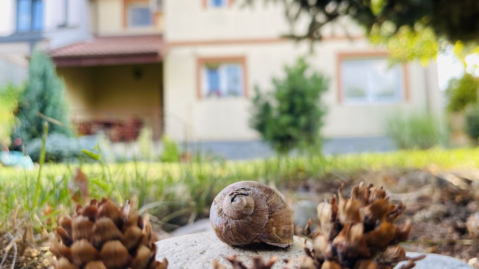 INCHIRIATA - Casa individuala cu 4 dormitoare, 184 mp | Garaj & Gradina | Fropin - Poză 16