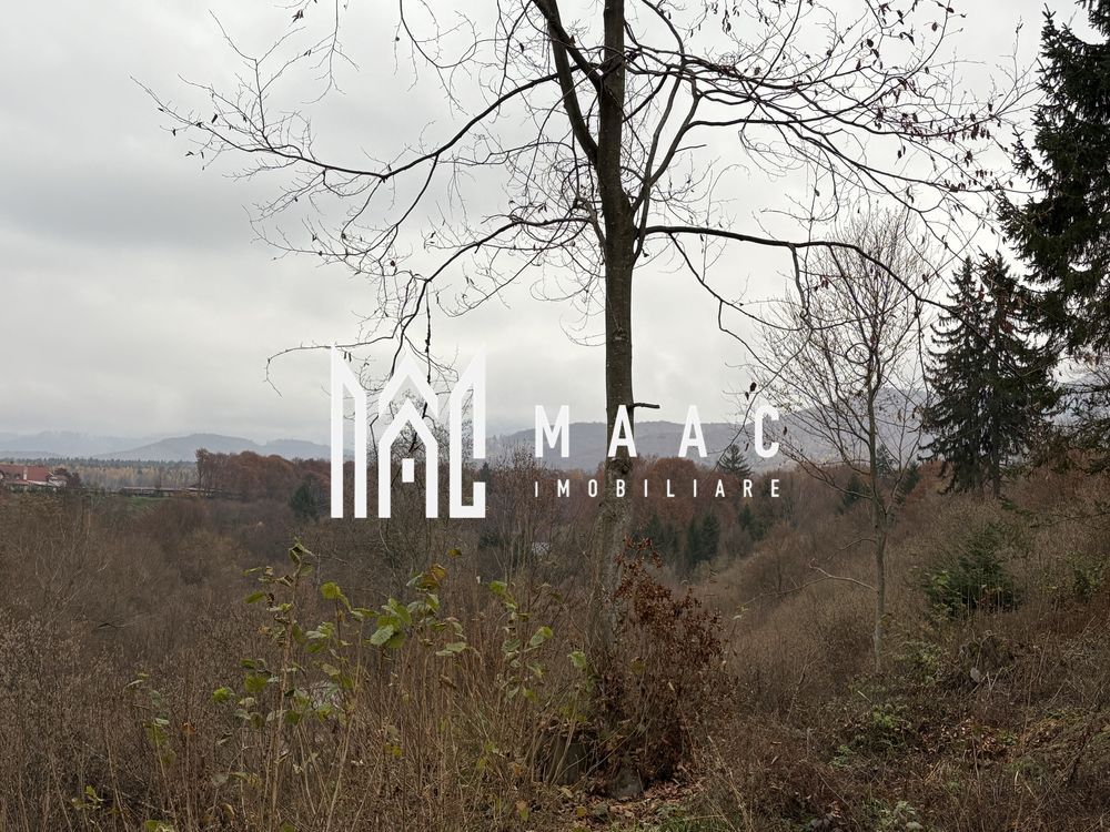 Teren intravilan | 2.000 mp |  Valea Avrigului - Poză 5