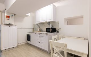 Apartament 2 camere - Demisol, 66 mp, Mobilat si Utilat, Bloc Nou, Zona Mosilor - Poză 8
