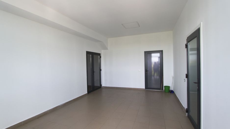 Spațiu industrial la sosea: Dumbravita - Giarmata - Poză 45