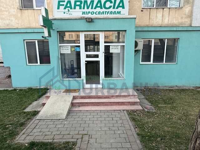 Spatiu comercial Podu ros/Nicolina - Poză 2