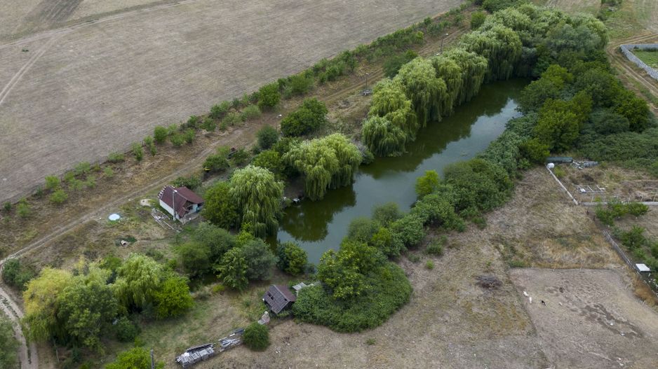 Teren de 7900 mp cu baltă de pescuit în Frumușeni - Poză 7