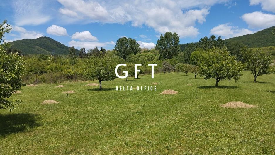 Teren intravilan 6000 mp-parcelabil-ideal constructie case-Crainimat - Poză 1