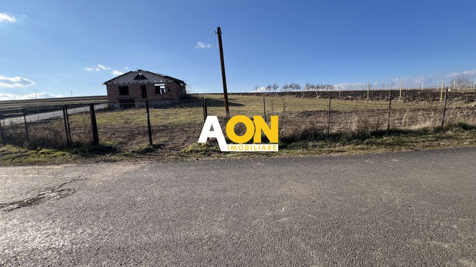 2,314 Mp in Daia Romana, toate utilitatile la asfalt, 80ml deschidere - Poză 9