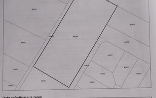 Teren Generos 5.653 mp – Dumbrăvița, Str. Gárdonyi Géza